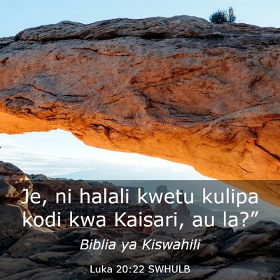 Picture 03 - Luka 20:22 SWHULB - Je, ni halali kwetu kulipa kodi kwa Kaisari, au - Bible Verse Picture