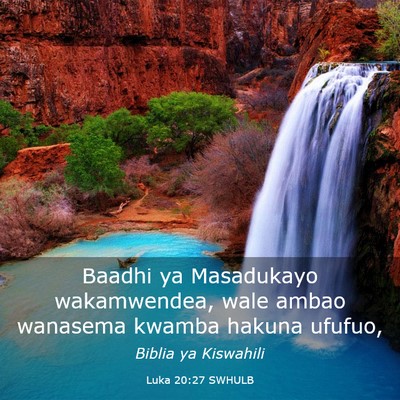 Picture 03 - Luka 20:27 SWHULB - Baadhi ya Masadukayo wakamwendea, wale ambao - Bible Verse Picture