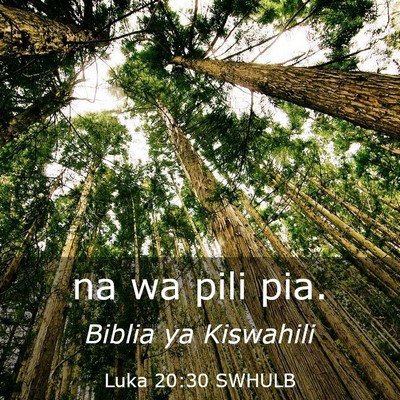 Picture 03 - Luka 20:30 SWHULB - na wa pili - Bible Verse Picture
