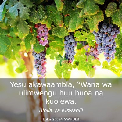 Picture 03 - Luka 20:34 SWHULB - Yesu akawaambia, “Wana wa ulimwengu huu huoa na - Bible Verse Picture