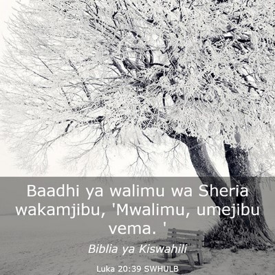 Picture 03 - Luka 20:39 SWHULB - Baadhi ya walimu wa Sheria wakamjibu, 'Mwalimu, - Bible Verse Picture