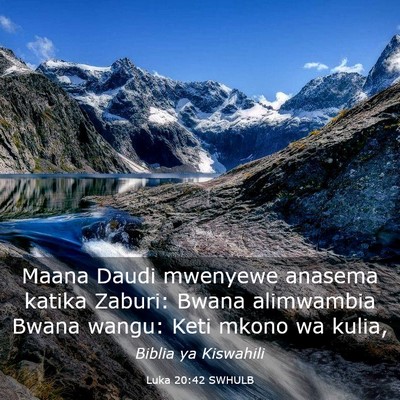 Picture 03 - Luka 20:42 SWHULB - Maana Daudi mwenyewe anasema katika Zaburi: Bwana - Bible Verse Picture