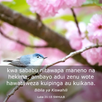 Picture 03 - Luka 21:15 SWHULB - kwa sababu nitawapa maneno na hekima, ambayo adui - Bible Verse Picture