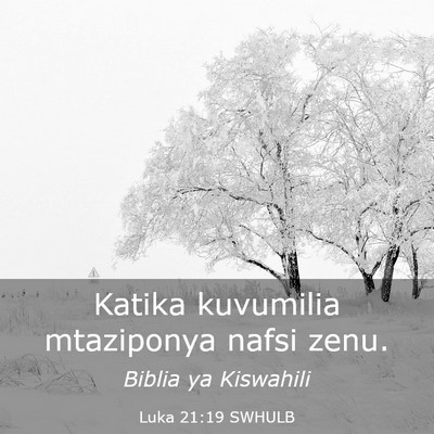 Picture 03 - Luka 21:19 SWHULB - Katika kuvumilia mtaziponya nafsi - Bible Verse Picture