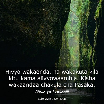 Picture 03 - Luka 22:13 SWHULB - Hivyo wakaenda, na wakakuta kila kitu kama - Bible Verse Picture