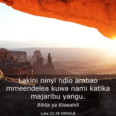 Picture 03 - Luka 22:28 SWHULB - Lakini ninyi ndio ambao mmeendelea kuwa nami - Bible Verse Picture