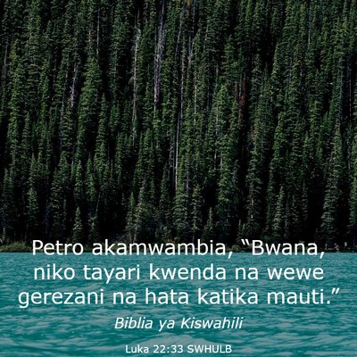 Picture 03 - Luka 22:33 SWHULB - Petro akamwambia, “Bwana, niko tayari kwenda na - Bible Verse Picture
