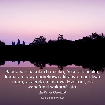Picture 03 - Luka 22:39 SWHULB - Baada ya chakula cha usiku, Yesu aliondoka, kama - Bible Verse Picture