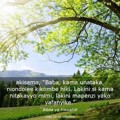 Picture 03 - Luka 22:42 SWHULB - akisema, “Baba, kama unataka, niondolee kikombe - Bible Verse Picture