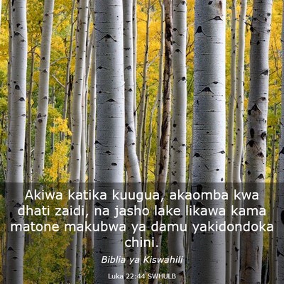 Picture 03 - Luka 22:44 SWHULB - Akiwa katika kuugua, akaomba kwa dhati zaidi, na - Bible Verse Picture