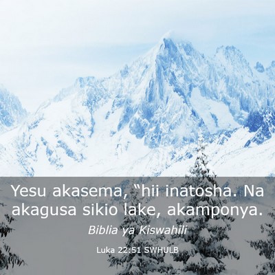 Picture 03 - Luka 22:51 SWHULB - Yesu akasema, “hii inatosha. Na akagusa sikio - Bible Verse Picture
