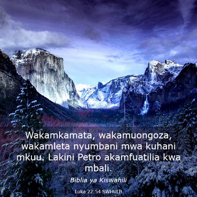 Picture 03 - Luka 22:54 SWHULB - Wakamkamata, wakamuongoza, wakamleta nyumbani mwa - Bible Verse Picture