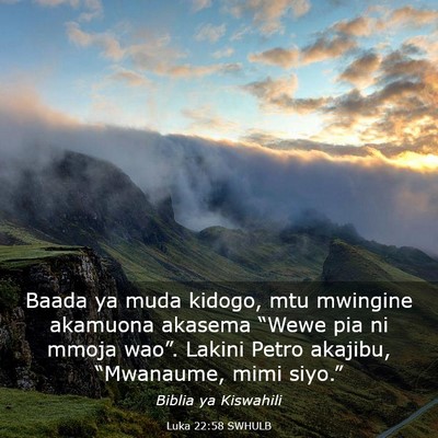 Picture 03 - Luka 22:58 SWHULB - Baada ya muda kidogo, mtu mwingine akamuona - Bible Verse Picture