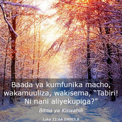 Picture 03 - Luka 22:64 SWHULB - Baada ya kumfunika macho, wakamuuliza, wakisema, - Bible Verse Picture