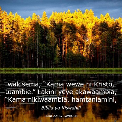 Picture 03 - Luka 22:67 SWHULB - wakisema, “Kama wewe ni Kristo, tuambie.” - Bible Verse Picture