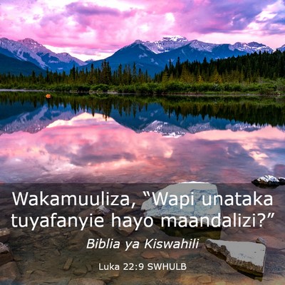 Picture 03 - Luka 22:9 SWHULB - Wakamuuliza, “Wapi unataka tuyafanyie hayo - Bible Verse Picture