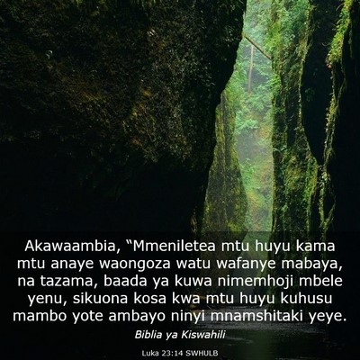 Picture 03 - Luka 23:14 SWHULB - Akawaambia, “Mmeniletea mtu huyu kama mtu anaye - Bible Verse Picture