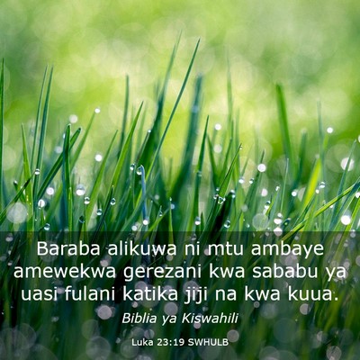 Picture 03 - Luka 23:19 SWHULB - Baraba alikuwa ni mtu ambaye amewekwa gerezani - Bible Verse Picture