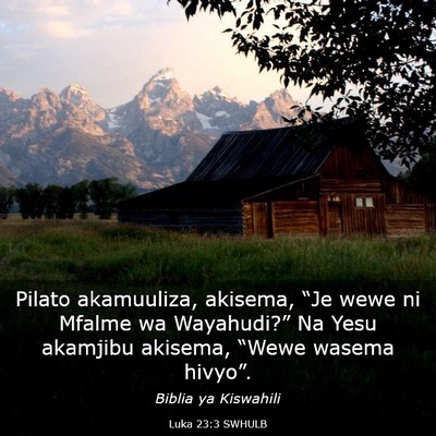 Picture 03 - Luka 23:3 SWHULB - Pilato akamuuliza, akisema, “Je wewe ni Mfalme - Bible Verse Picture