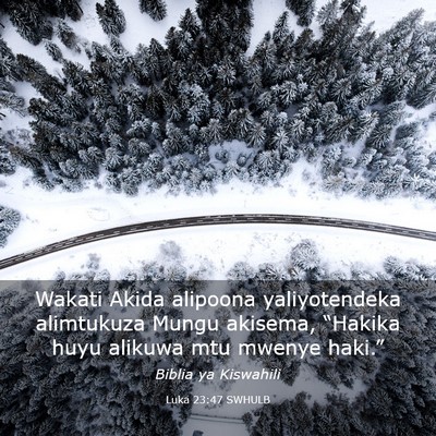 Picture 03 - Luka 23:47 SWHULB - Wakati Akida alipoona yaliyotendeka alimtukuza - Bible Verse Picture