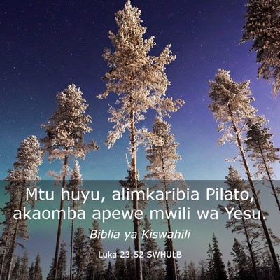 Picture 03 - Luka 23:52 SWHULB - Mtu huyu, alimkaribia Pilato, akaomba apewe mwili - Bible Verse Picture