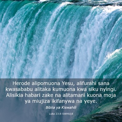 Picture 03 - Luka 23:8 SWHULB - Herode alipomuona Yesu, alifurahi sana kwasababu - Bible Verse Picture