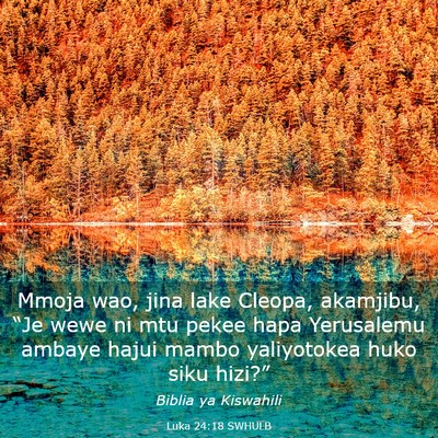 Picture 03 - Luka 24:18 SWHULB - Mmoja wao, jina lake Cleopa, akamjibu, “Je wewe - Bible Verse Picture