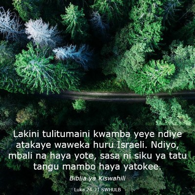 Picture 03 - Luka 24:21 SWHULB - Lakini tulitumaini kwamba yeye ndiye atakaye - Bible Verse Picture