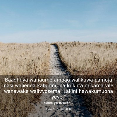 Picture 03 - Luka 24:24 SWHULB - Baadhi ya wanaume ambao walikuwa pamoja nasi - Bible Verse Picture
