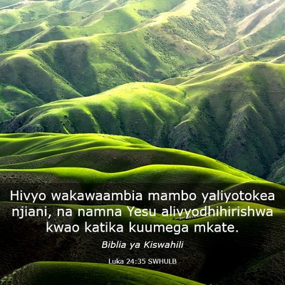 Picture 03 - Luka 24:35 SWHULB - Hivyo wakawaambia mambo yaliyotokea njiani, na - Bible Verse Picture