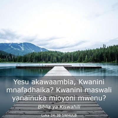 Picture 03 - Luka 24:38 SWHULB - Yesu akawaambia, Kwanini mnafadhaika? Kwanini - Bible Verse Picture