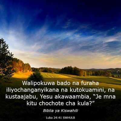 Picture 03 - Luka 24:41 SWHULB - Walipokuwa bado na furaha iliyochanganyikana na - Bible Verse Picture