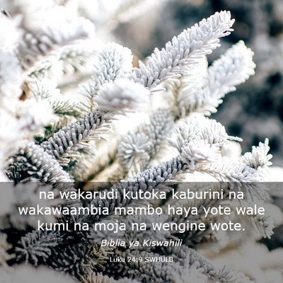 Picture 03 - Luka 24:9 SWHULB - na wakarudi kutoka kaburini na wakawaambia mambo - Bible Verse Picture