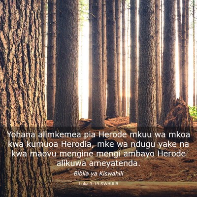 Picture 03 - Luka 3:19 SWHULB - Yohana alimkemea pia Herode mkuu wa mkoa kwa - Bible Verse Picture