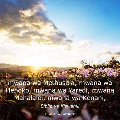 Picture 03 - Luka 3:37 SWHULB - mwana wa Methusela, mwana wa Henoko, mwana wa - Bible Verse Picture