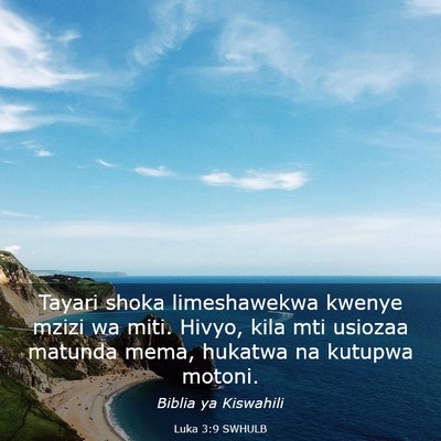 Picture 03 - Luka 3:9 SWHULB - Tayari shoka limeshawekwa kwenye mzizi wa miti. - Bible Verse Picture