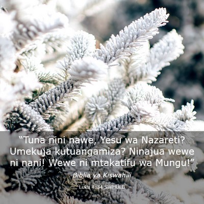 Picture 03 - Luka 4:34 SWHULB - “Tuna nini nawe, Yesu wa Nazareti? Umekuja - Bible Verse Picture
