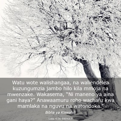 Picture 03 - Luka 4:36 SWHULB - Watu wote walishangaa, na waliendelea kuzungumzia - Bible Verse Picture
