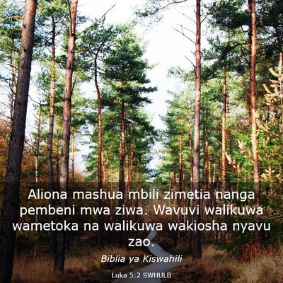Picture 03 - Luka 5:2 SWHULB - Aliona mashua mbili zimetia nanga pembeni mwa - Bible Verse Picture