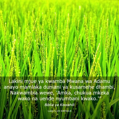 Picture 03 - Luka 5:24 SWHULB - Lakini mjue ya kwamba Mwana wa Adamu anayo - Bible Verse Picture