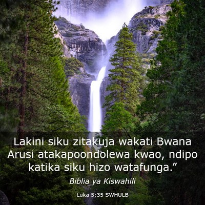 Picture 03 - Luka 5:35 SWHULB - Lakini siku zitakuja wakati Bwana Arusi - Bible Verse Picture