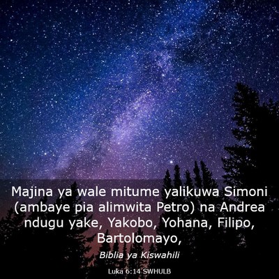 Picture 03 - Luka 6:14 SWHULB - Majina ya wale mitume yalikuwa Simoni (ambaye pia - Bible Verse Picture