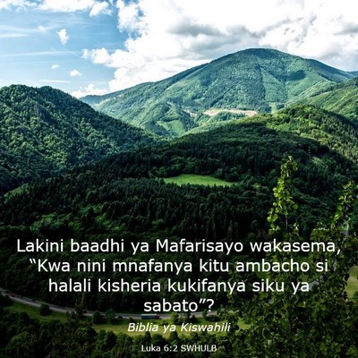 Picture 03 - Luka 6:2 SWHULB - Lakini baadhi ya Mafarisayo wakasema, “Kwa nini - Bible Verse Picture