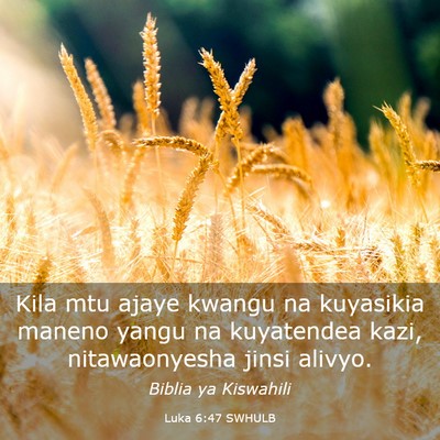 Picture 03 - Luka 6:47 SWHULB - Kila mtu ajaye kwangu na kuyasikia maneno yangu - Bible Verse Picture