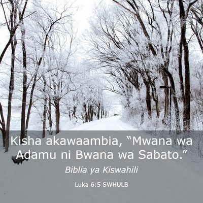 Picture 03 - Luka 6:5 SWHULB - Kisha akawaambia, “Mwana wa Adamu ni Bwana wa - Bible Verse Picture