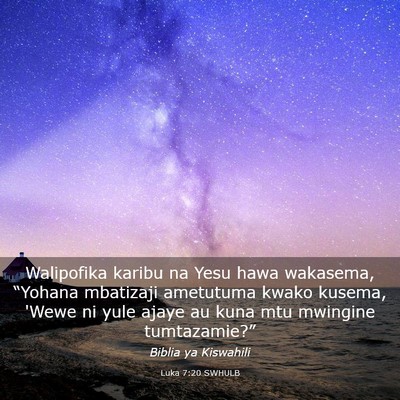 Picture 03 - Luka 7:20 SWHULB - Walipofika karibu na Yesu hawa wakasema, - Bible Verse Picture