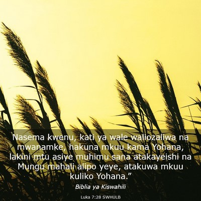 Picture 03 - Luka 7:28 SWHULB - Nasema kwenu, kati ya wale waliozaliwa na - Bible Verse Picture