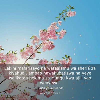 Picture 03 - Luka 7:30 SWHULB - Lakini mafarisayo na wataalamu wa sheria za - Bible Verse Picture