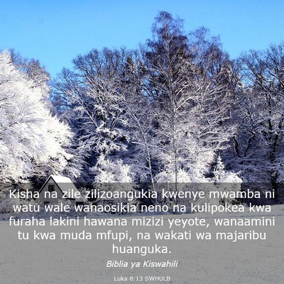 Picture 03 - Luka 8:13 SWHULB - Kisha na zile zilizoangukia kwenye mwamba ni watu - Bible Verse Picture