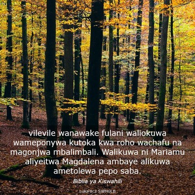 Picture 03 - Luka 8:2 SWHULB - vilevile wanawake fulani waliokuwa wameponywa - Bible Verse Picture